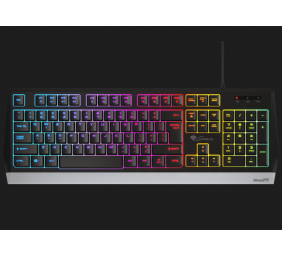 Genesis | Rhod 300 RGB | Black | Gaming keyboard | Wired | RGB LED light | US | 1.75 m