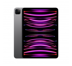 iPad Pro 11" Wi-Fi 2TB - Space Gray 4th Gen | Apple