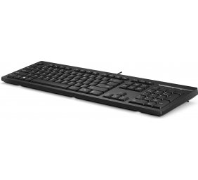 HP 125 USB WD KBD Bulk 12