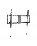 GEMBIRD TV wall mount fixed 37-80i