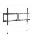 GEMBIRD TV wall mount fixed 43-90in