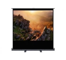 ART MANUAL STANDING SCREEN 80inch