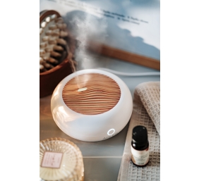 Adler | USB Ultrasonic aroma diffuser 3in1 | AD 7969 | Ultrasonic | Suitable for rooms up to 25 m² | White