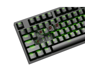 Genesis | Mechanical Gaming Keyboard | THOR 404 TKL RGB | Black | Mechanical Gaming Keyboard | Wired | US | USB Type-A | 1005 g | Kailh Box Brown V2