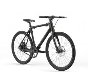 Sharp Hybrid E-Bike | 250 W | 21 " | 24 month(s) | Black