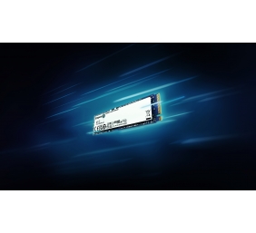 KINGSTON 1000G NV3 M.2 2280 PCIe 4.0 SSD