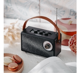 Speaker with radio | CR 1902 B | 5 W | Bluetooth | Black | Wireless connection