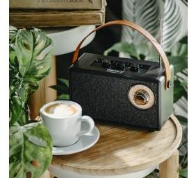 Speaker with radio | CR 1902 B | 5 W | Bluetooth | Black | Wireless connection