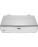 Epson | A3 Graphics Scanner | Expression 13000XL | Graphics