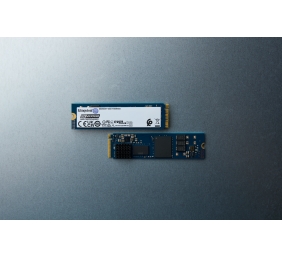 Kingston SSD | DC2000B | 480 GB | SSD form factor M.2 2280 | Solid-state drive interface PCIe NVMe Gen 4.0 (x4) | Read speed 7000 MB/s | Write speed 800 MB/s