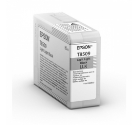 Epson T850900 | Ink Cartridge | Light Black