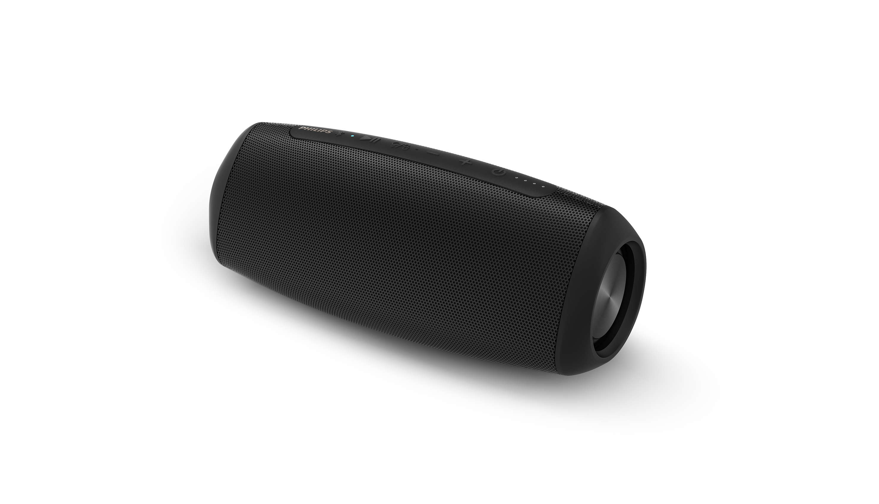 portable speaker with audio input